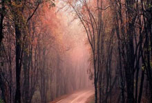 壹号娱乐：范志毅：很多沙特国脚在本国联赛出场机会不多，可能体能存在问题.