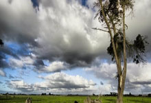 记者：西蒙尼已向罗梅罗介绍体育计划，罗梅罗愿意加盟马竞.