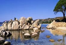 壹号娱乐：WTT球星挑战赛金奈站：张本智和无缘男单八强.